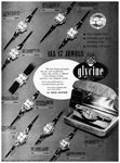 Glycine 1952 14.jpg